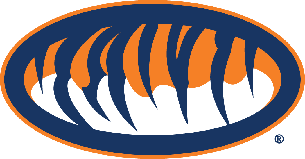 Auburn Tigers 1998-Pres Alternate Logo v2 diy iron on heat transfer